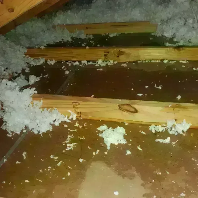 Attic Water Damage in Heritage Lake, IN